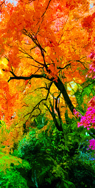 chemin 2021 peinture digitale originale
                de Nik