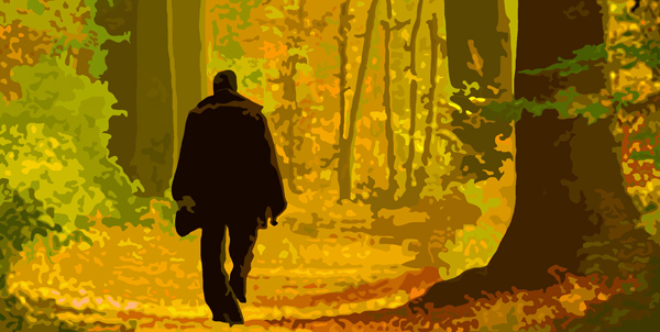 sous bois en automne peinture
                digitale de Nik 2021